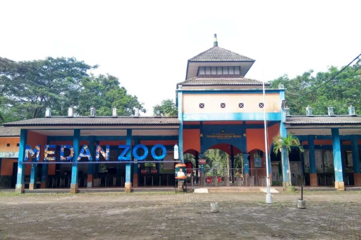Kebun Binatang Medan kembali dibuka 5 Juli