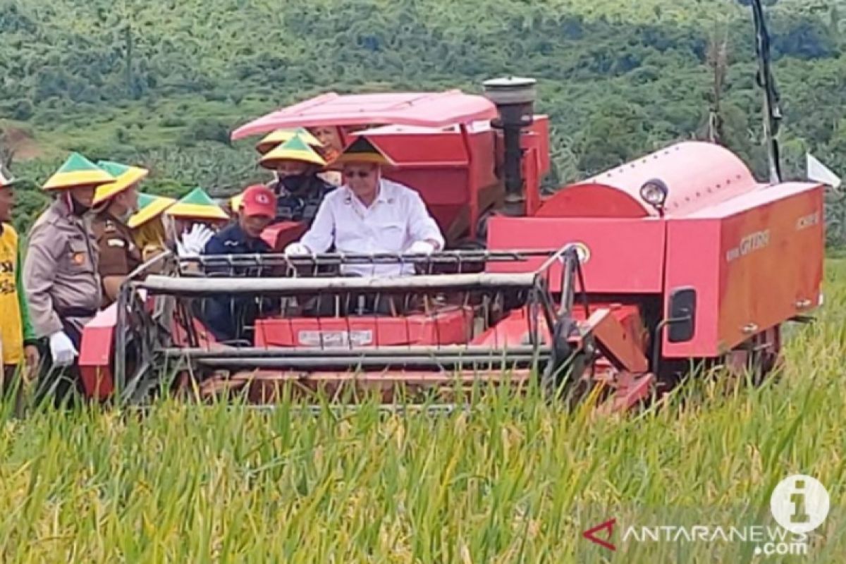 Kotabaru regent harvest rice in Sungai Pasir Village