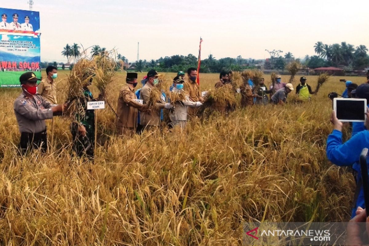 Wagub Sumbar harapkan Kota Solok pertahankan areal sawah