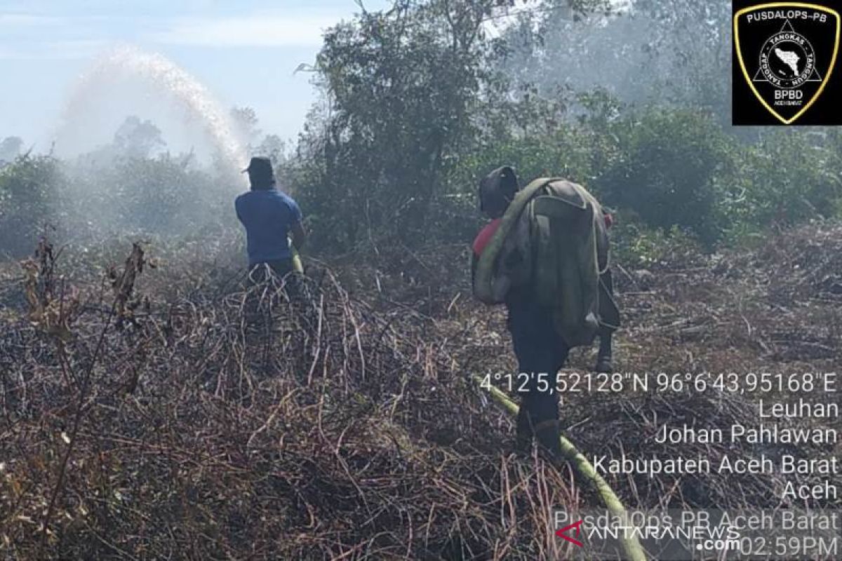 Puluhan hektare lahan di Aceh Barat terbakar