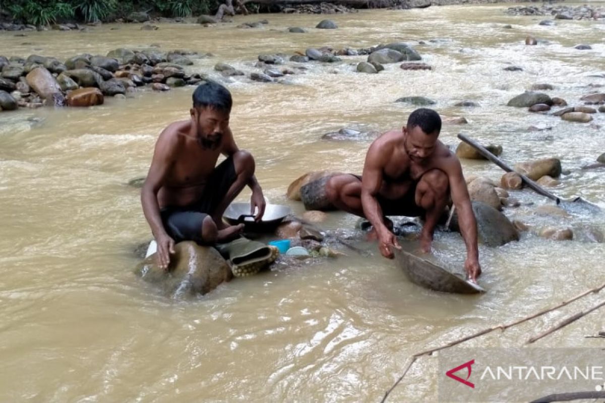 Warga minta penambangan rakyat Korowai tetap beroperasi