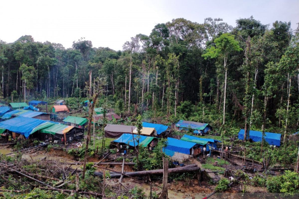 Ekonomi warga Korowai masih tertinggal