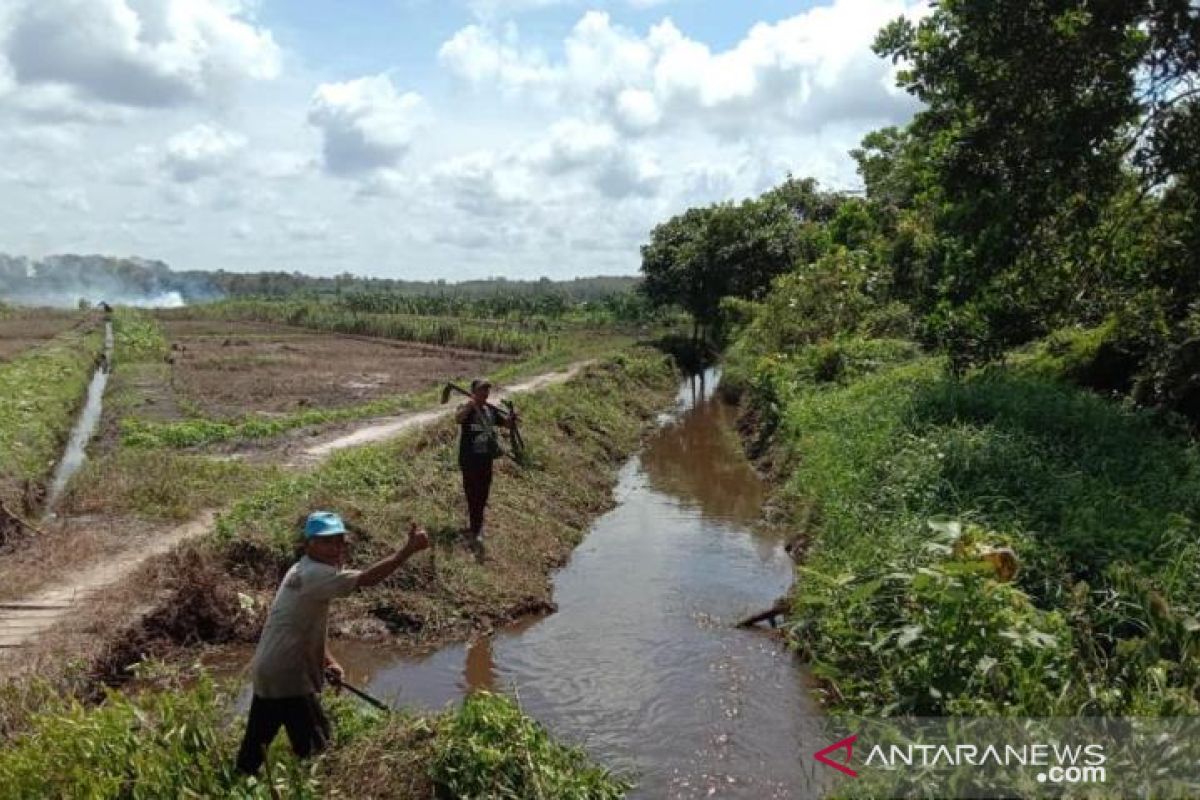 Mahasiswa Polbangtan Medan gotongroyong bersihkan lahan sawah petani Balunijuk terkena banjir