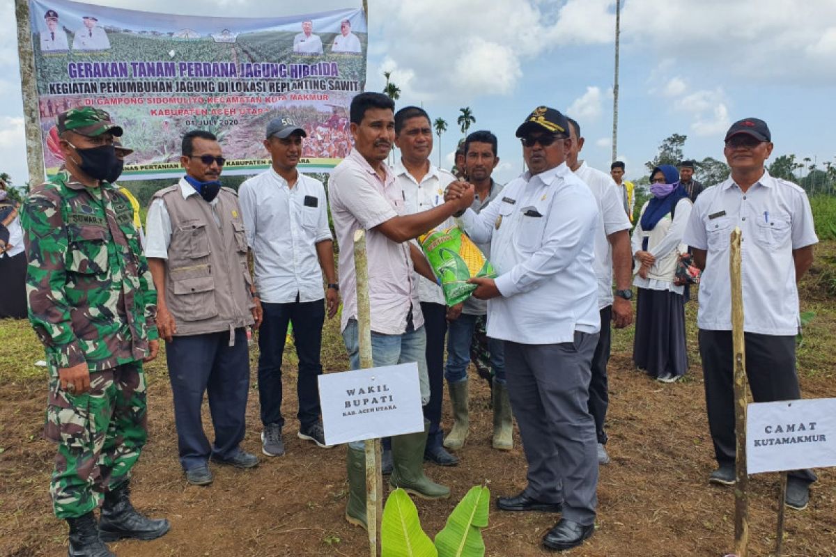 Pemerintah salurkan 1.500 kg benih jagung untuk petani Aceh Utara