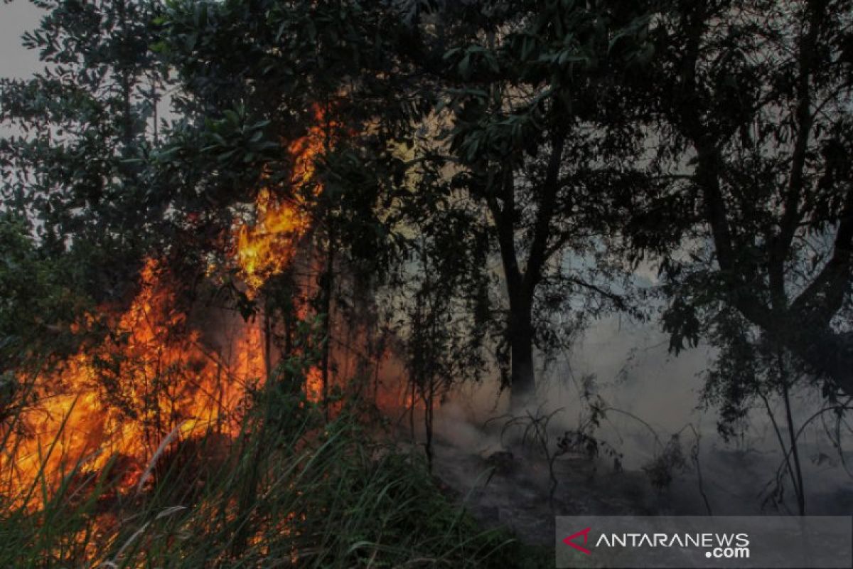 Gubernur Syamsuar harap pandemi COVID-19 tak diperparah  bencana asap