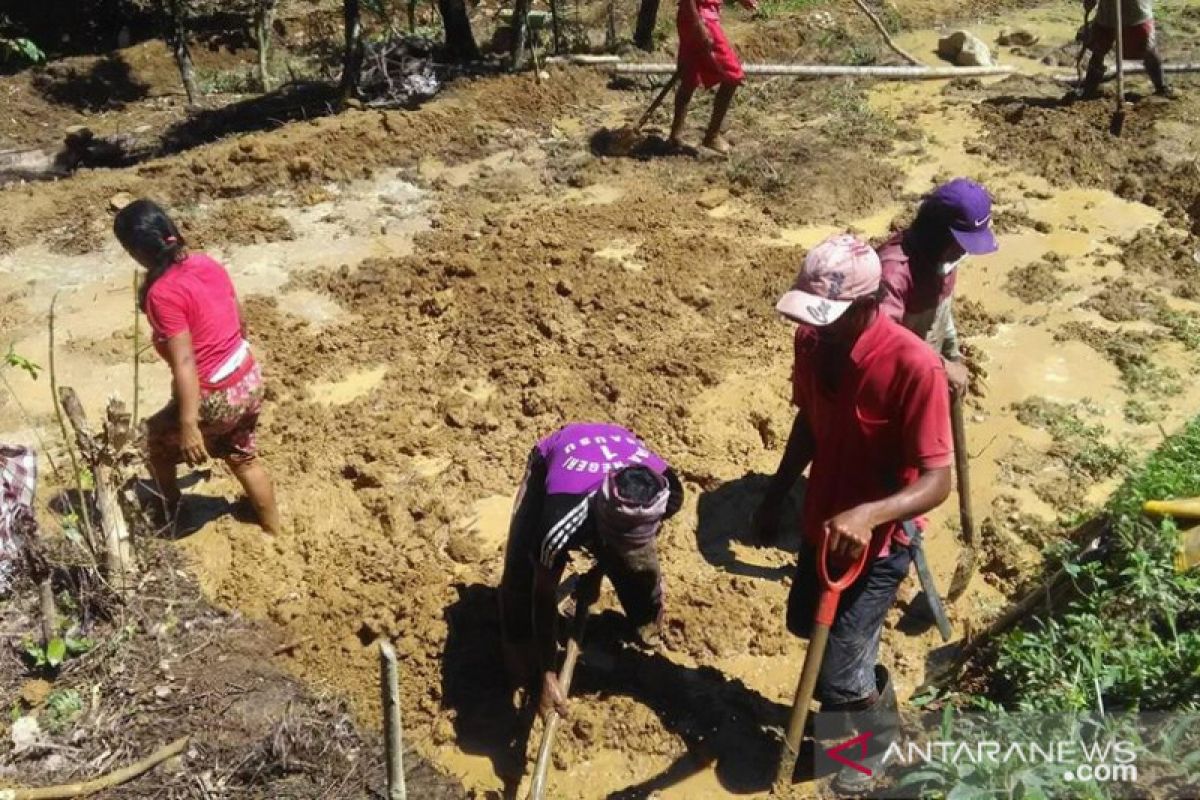 Kemendagri dorong kerja sama daerah wujudkan ketahanan pangan