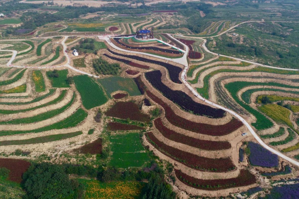 Traditional Chinese medicine tourism and health care base rising in north China's Taihang Mountains