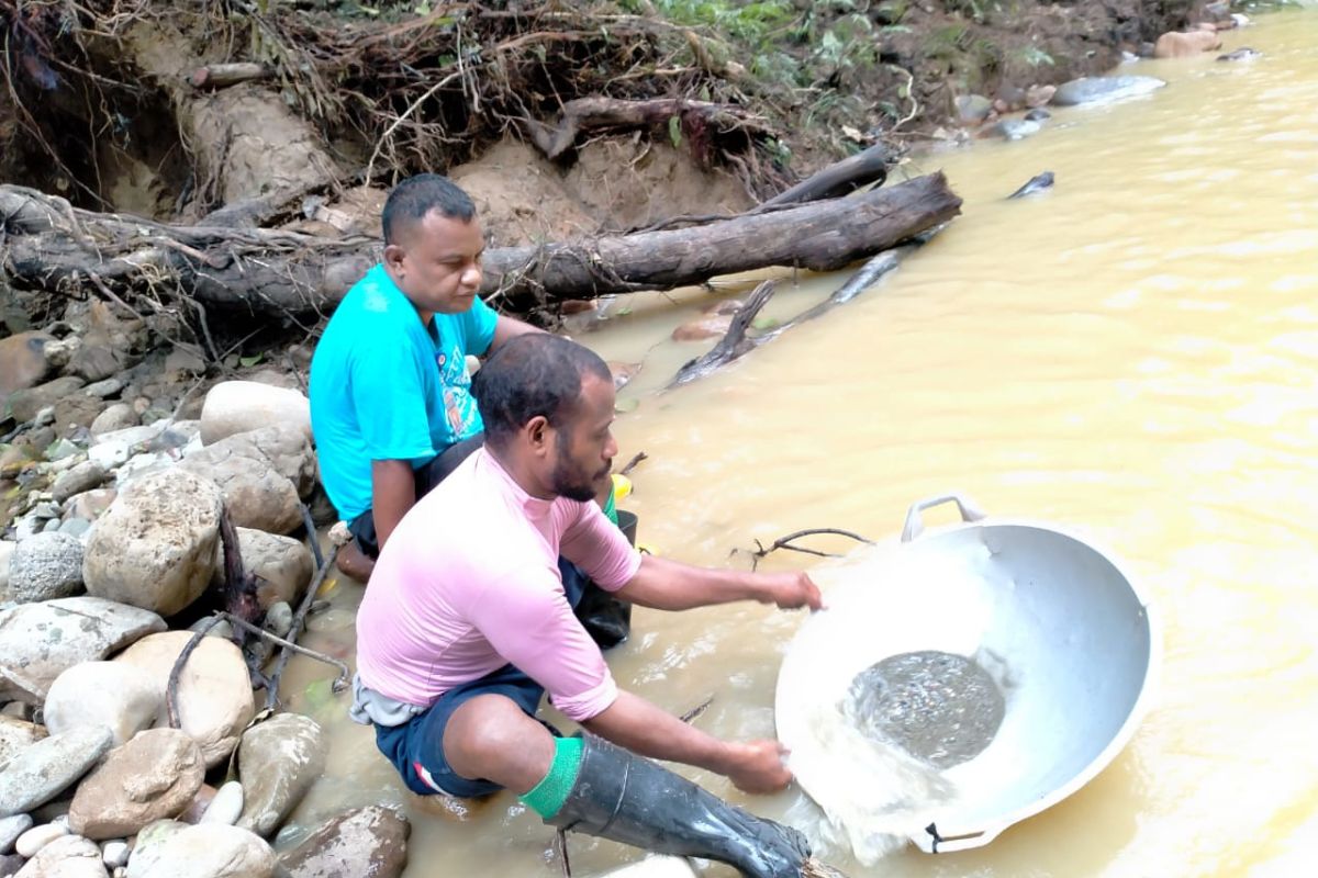 Kampung Kawe Papua, uang nyaris tidak berlaku, barang ditukar langsung dengan emas