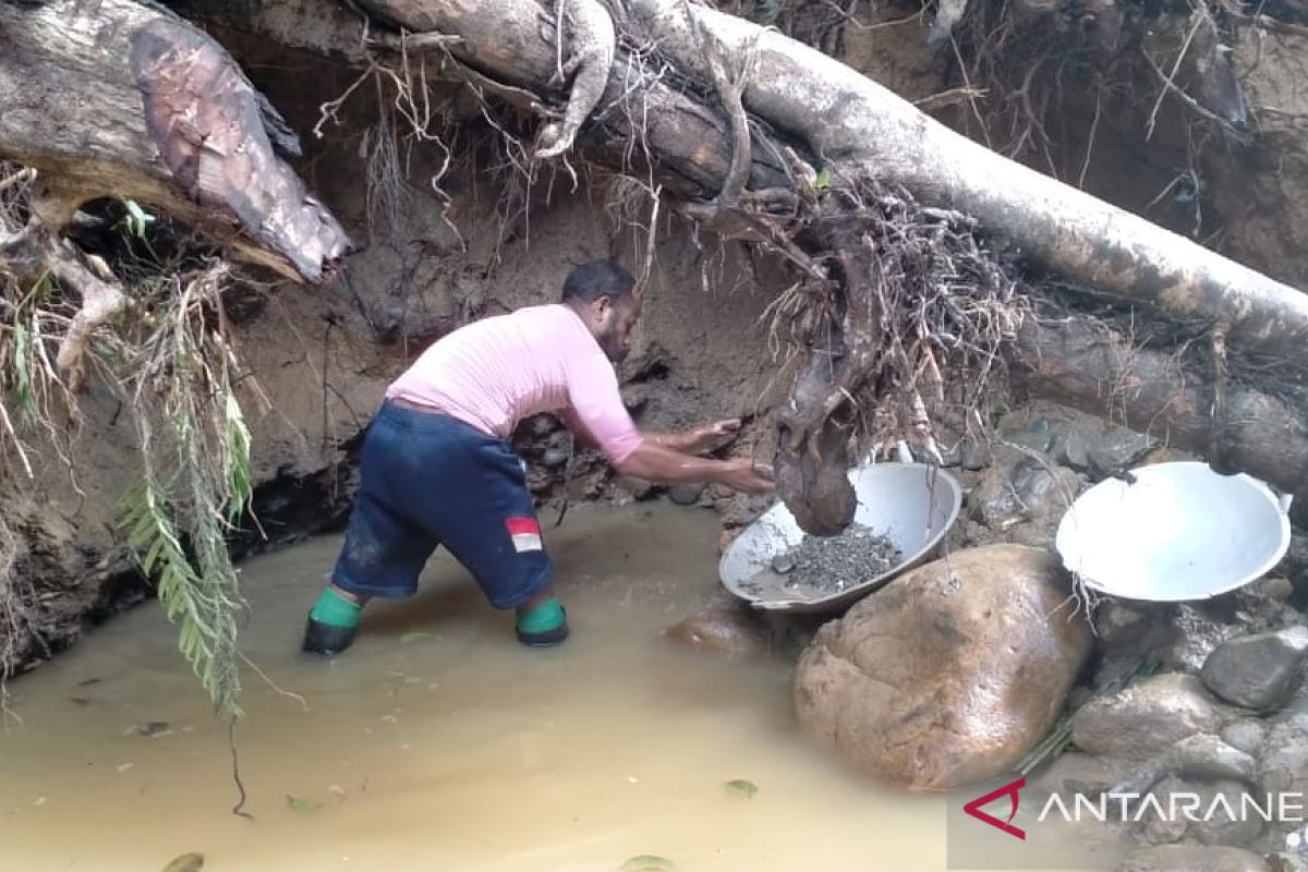 Penambang di Korowai barter barang dengan emas