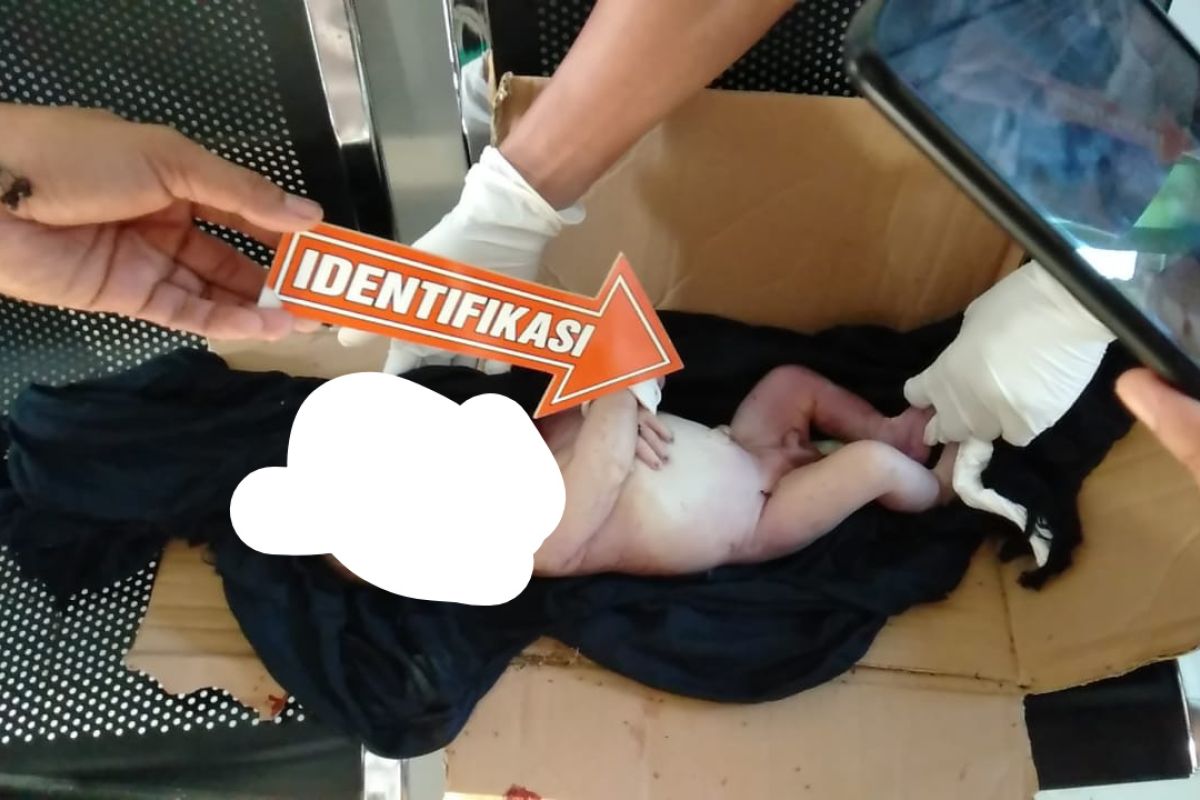 Miris! 4 kasus pembuangan bayi terjadi di Lombok Tengah dalam sebulan