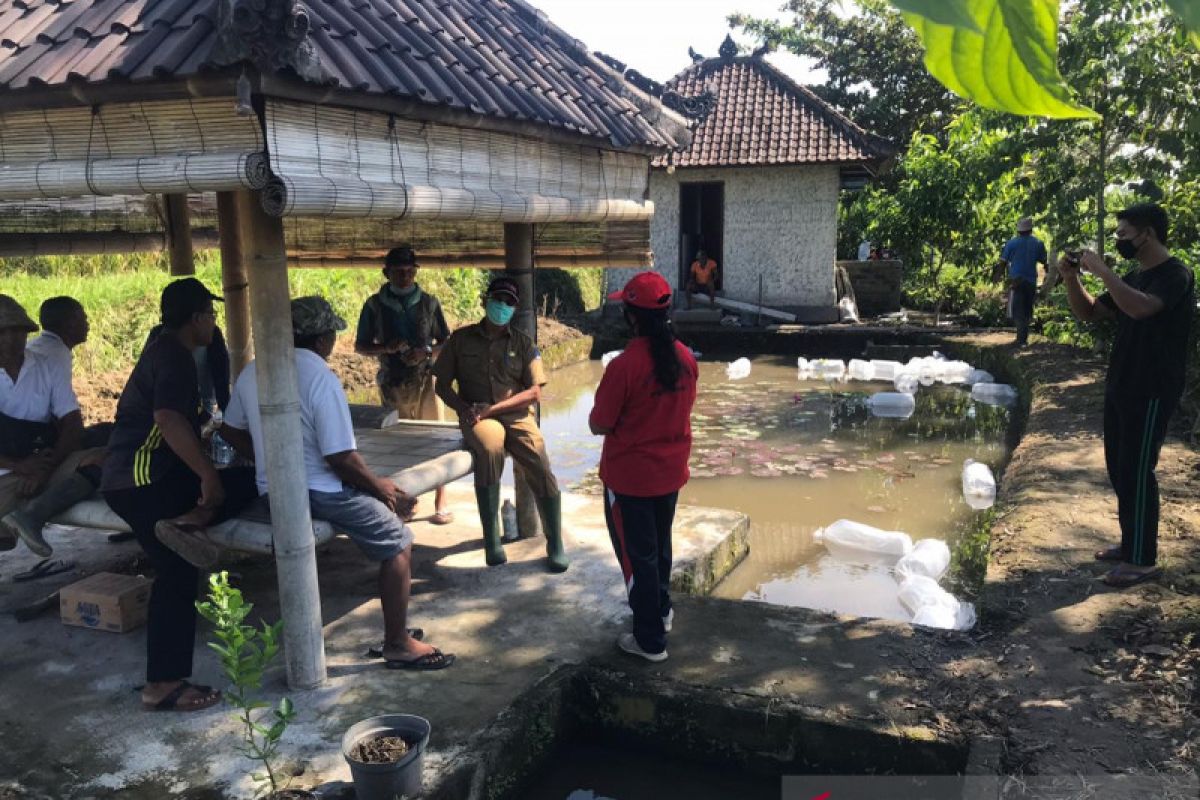 Pemkab Badung dorong budi daya ikan untuk ketahanan pangan