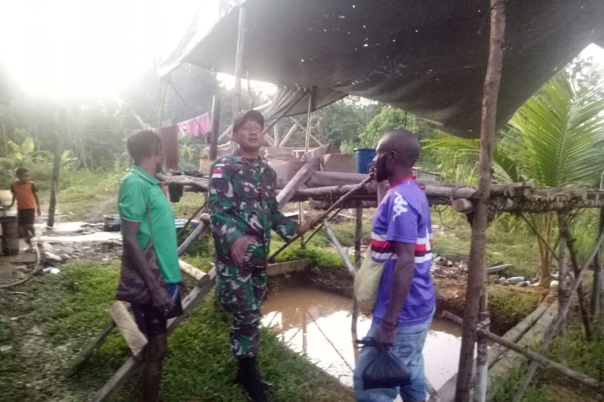 Satgas Pamtas Yonif 509/Kostrad ajarkan warga kampung Umuaf budidaya ikan lele