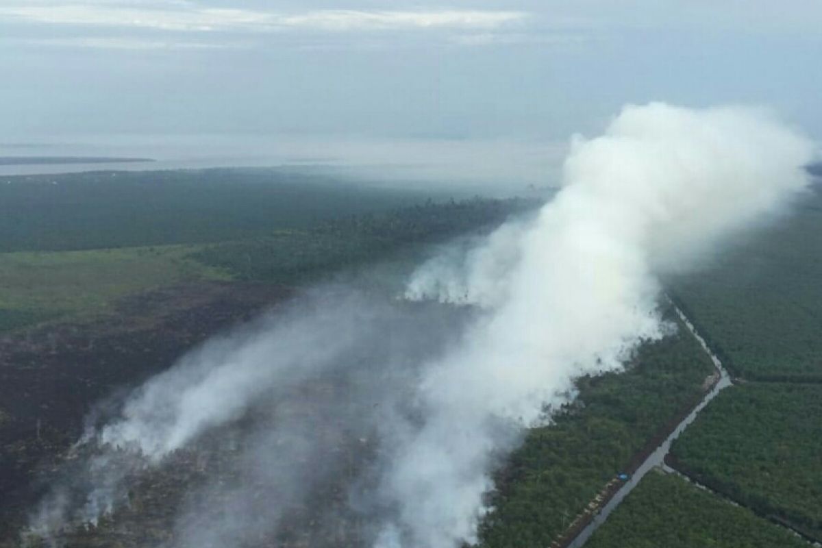 Delapan hektare lahan gambut terbakar di Rupat