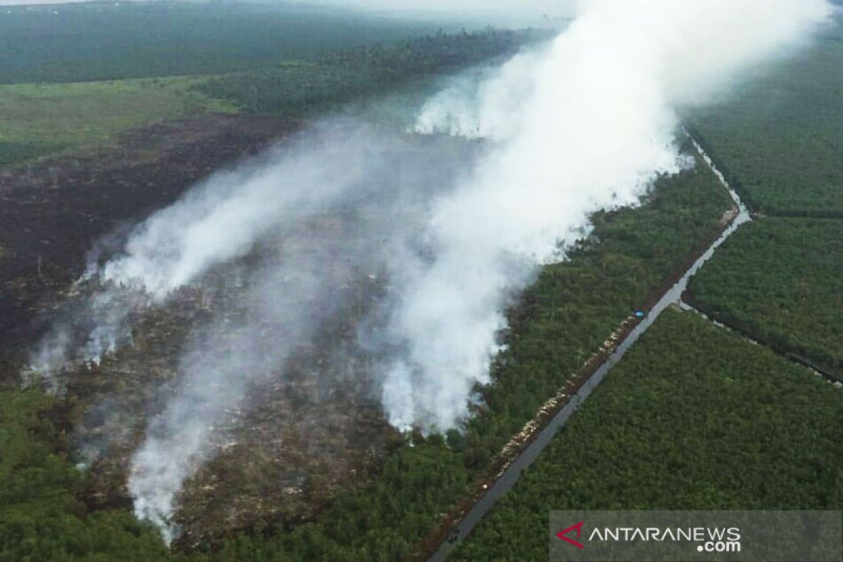 Delapan hektare lahan gambut terbakar di Bengkalis Riau