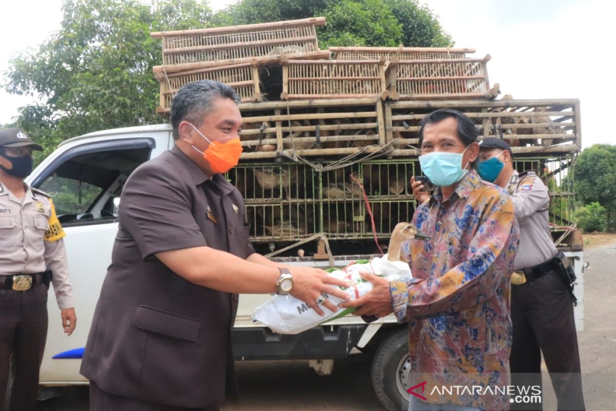 Wali kota serahkan bantuan unggas warga terdampak COVID-19