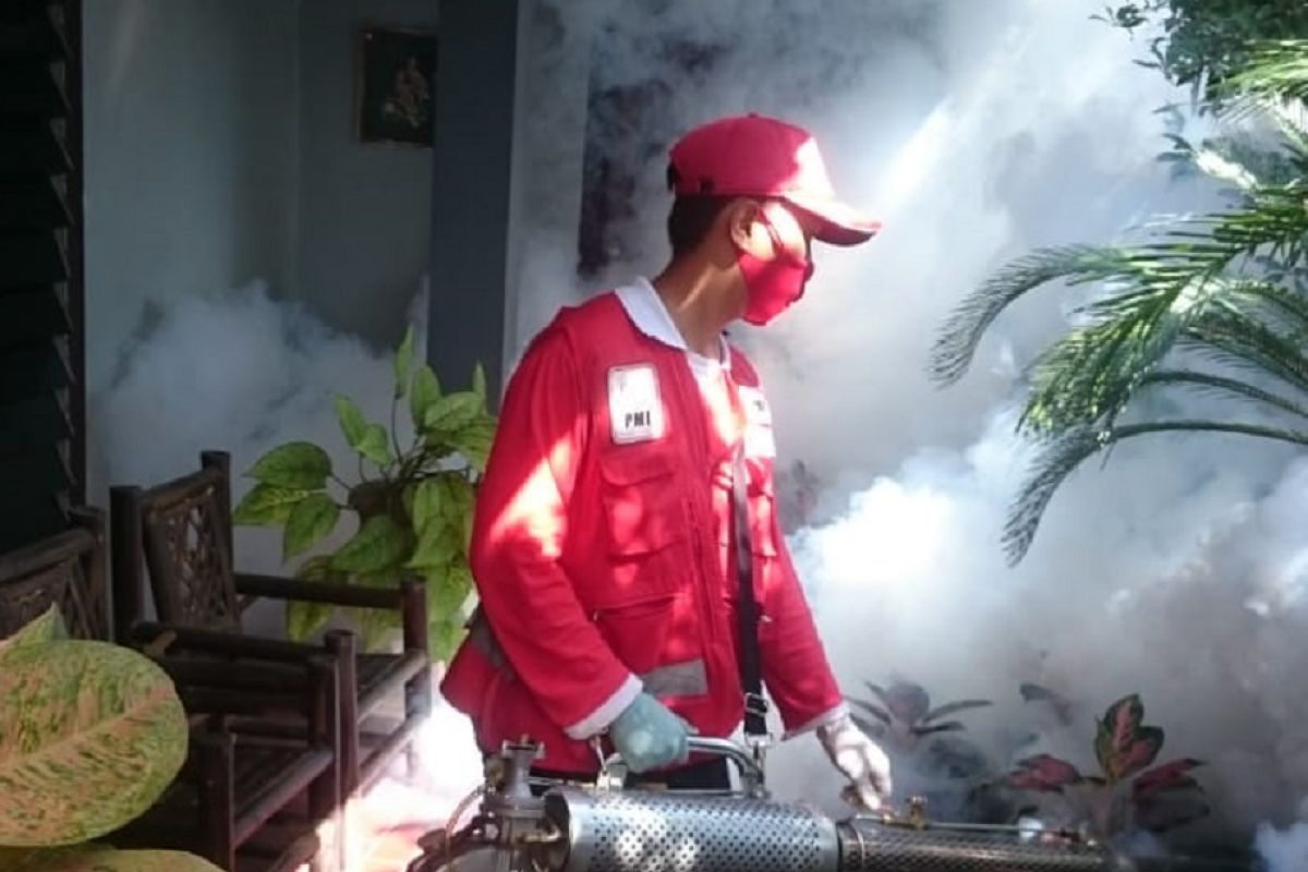 PMI Jember lakukan fogging cegah DBD saat pandemi COVID-19