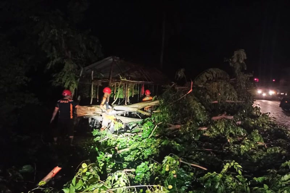 35 rumah rusak dihantam angin puting beliung di Aceh Timur