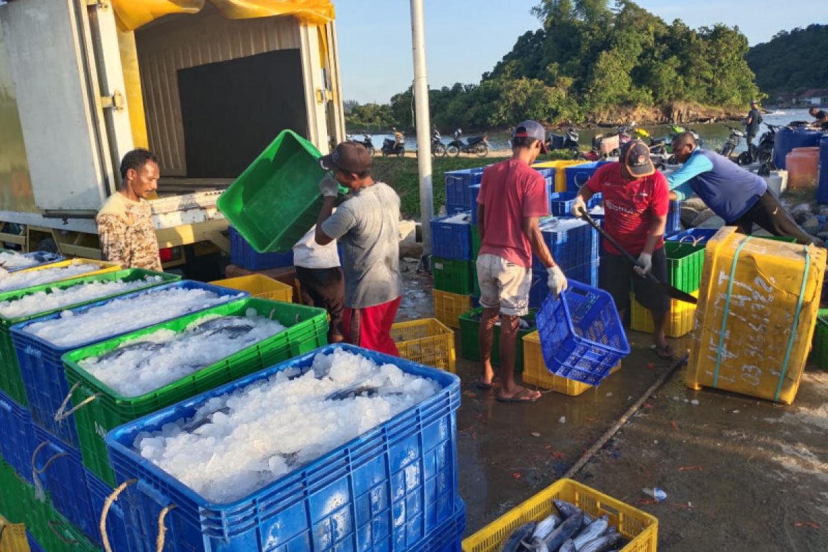 Harga ikan merosot, nelayan calang kirim ikan ke Sibolga