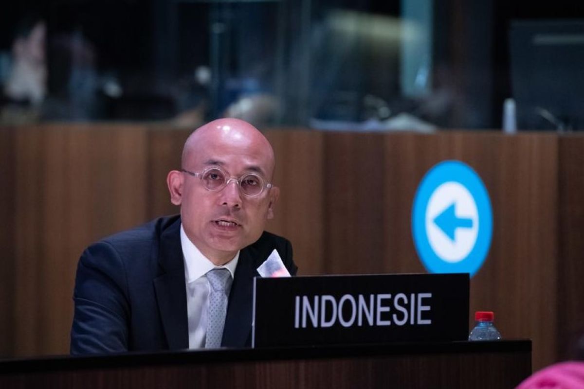 Hadapi COVID-19, Indonesia dorong UNESCO prioritaskan pendidikan