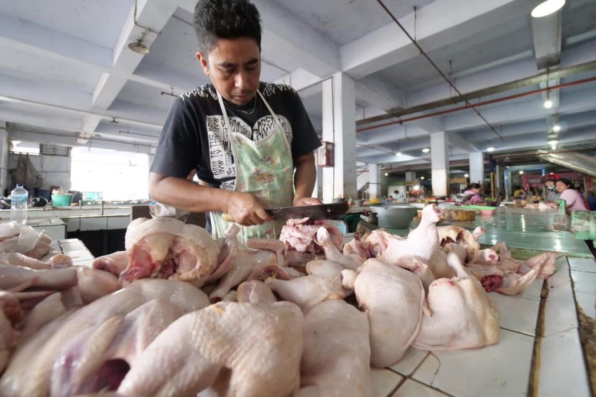 Kenaikan harga daging ayam picu inflasi Kota Madiun pada Juni