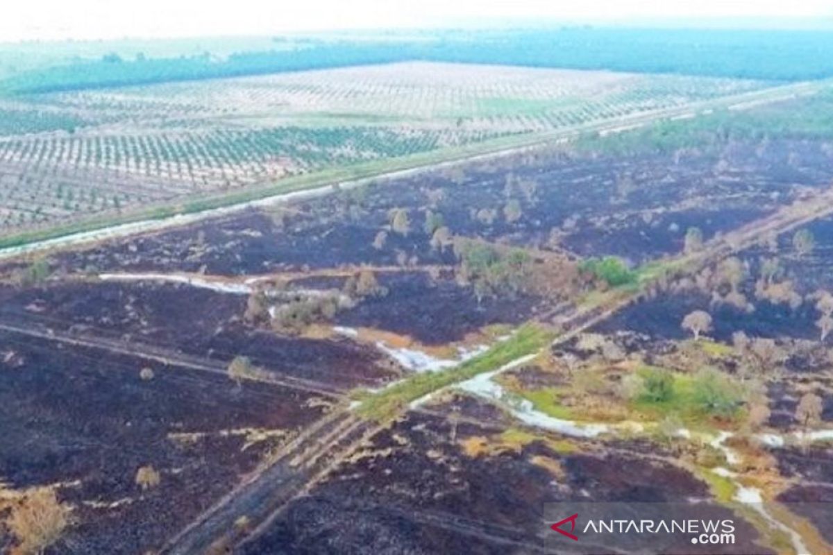 BMKG: Indonesia bagian selatan kemarau, wilayah ekuator berpotensi hujan tinggi