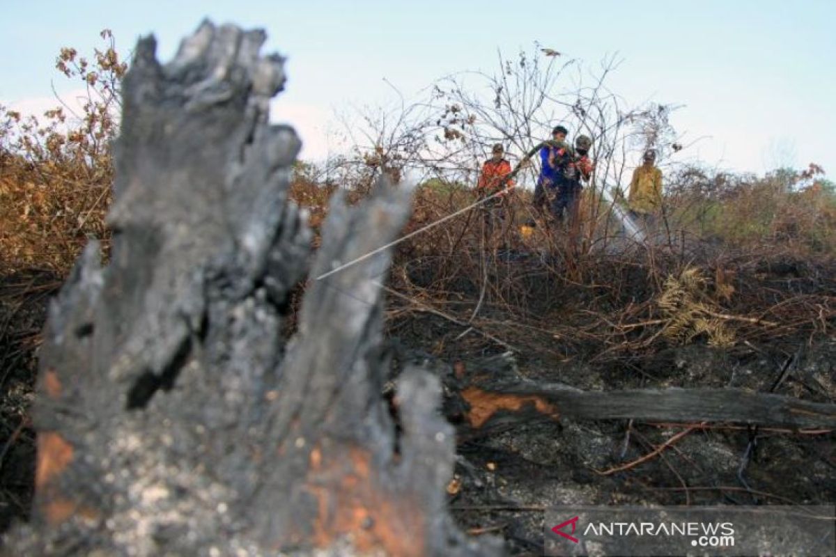 Kebakaran lahan 10,5 hektare di Aceh Barat belum bisa dipadamkan