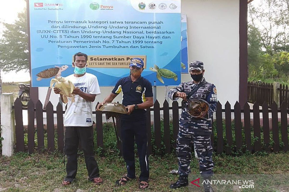 KKP lepasliarkan dua "fosil hidup" di Sumatera Utara