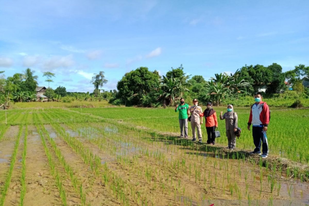 Malinau jadi daerah penyuplai kebutuhan pangan untuk IKN