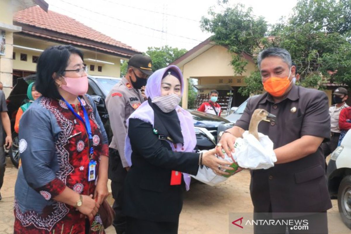 Banjarbaru helps people affected by COVID-19 with chickens and ducks