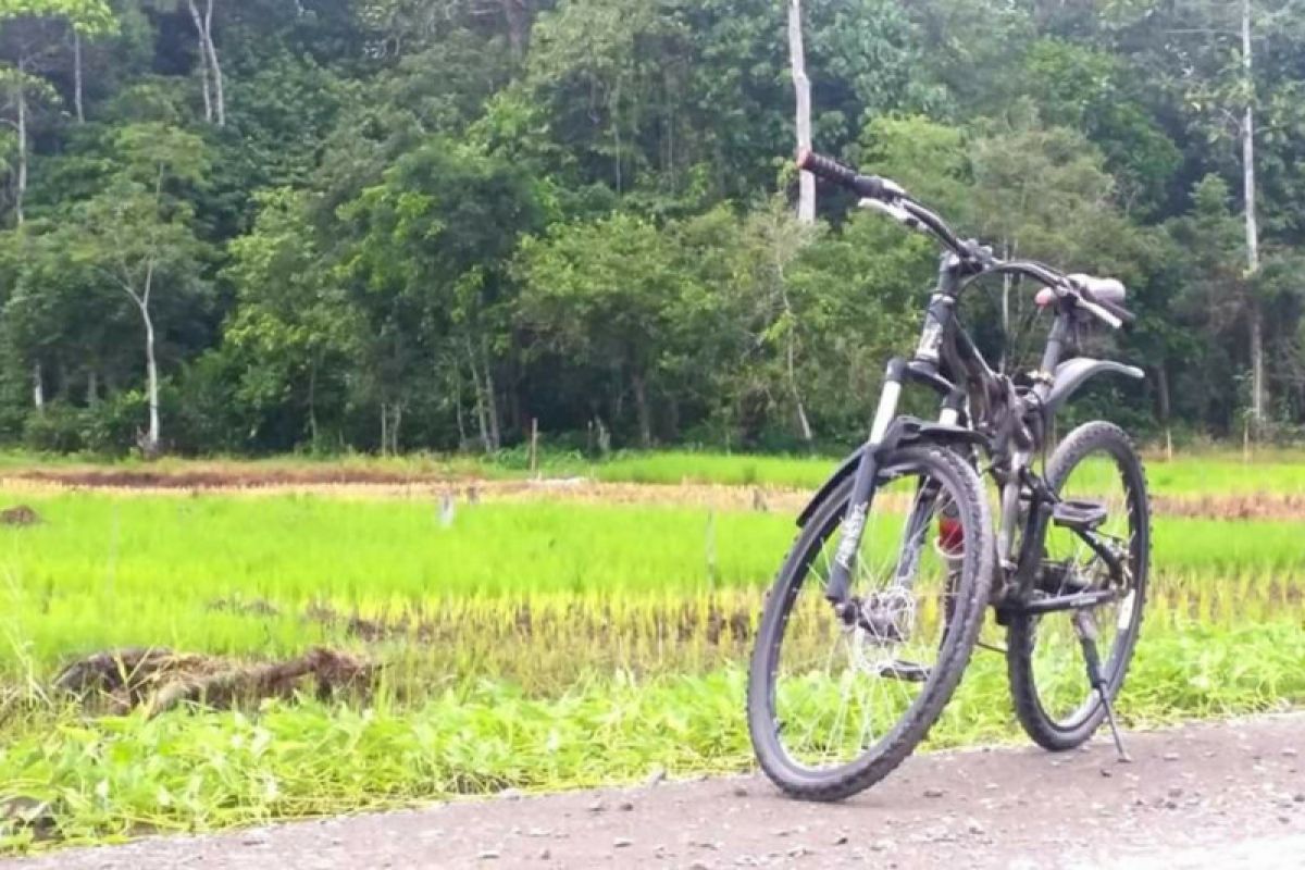 Bike2Work Indonesia dorong aktifitas, bukan jenis sepedanya