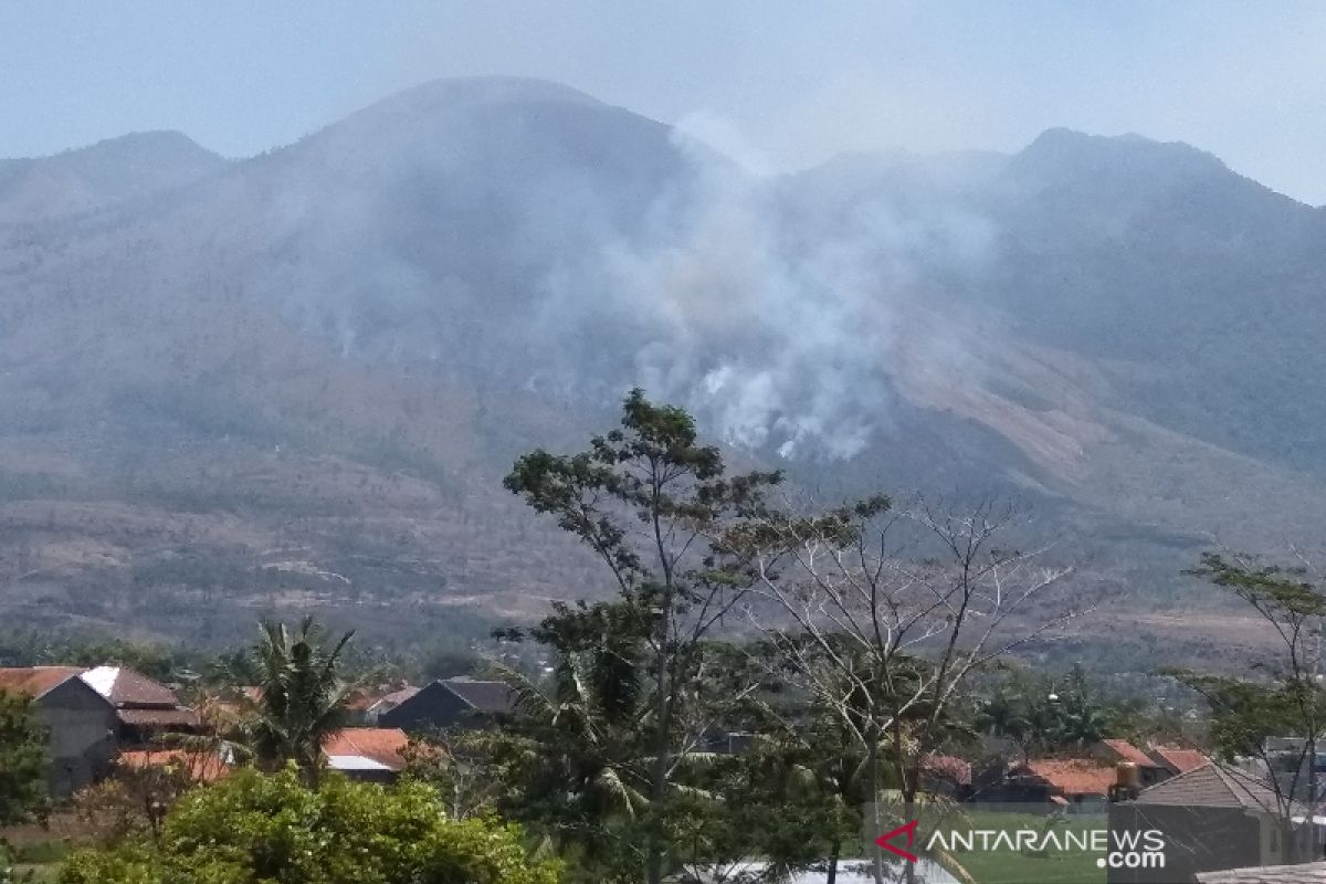 Petugas gabungan cari seorang pendaki yang hilang di Gunung Guntur