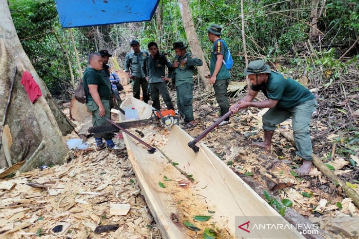 BKSDA Sulawesi Tenggara musnahkan perahu diduga ilegal di SM Tanjung Peropa