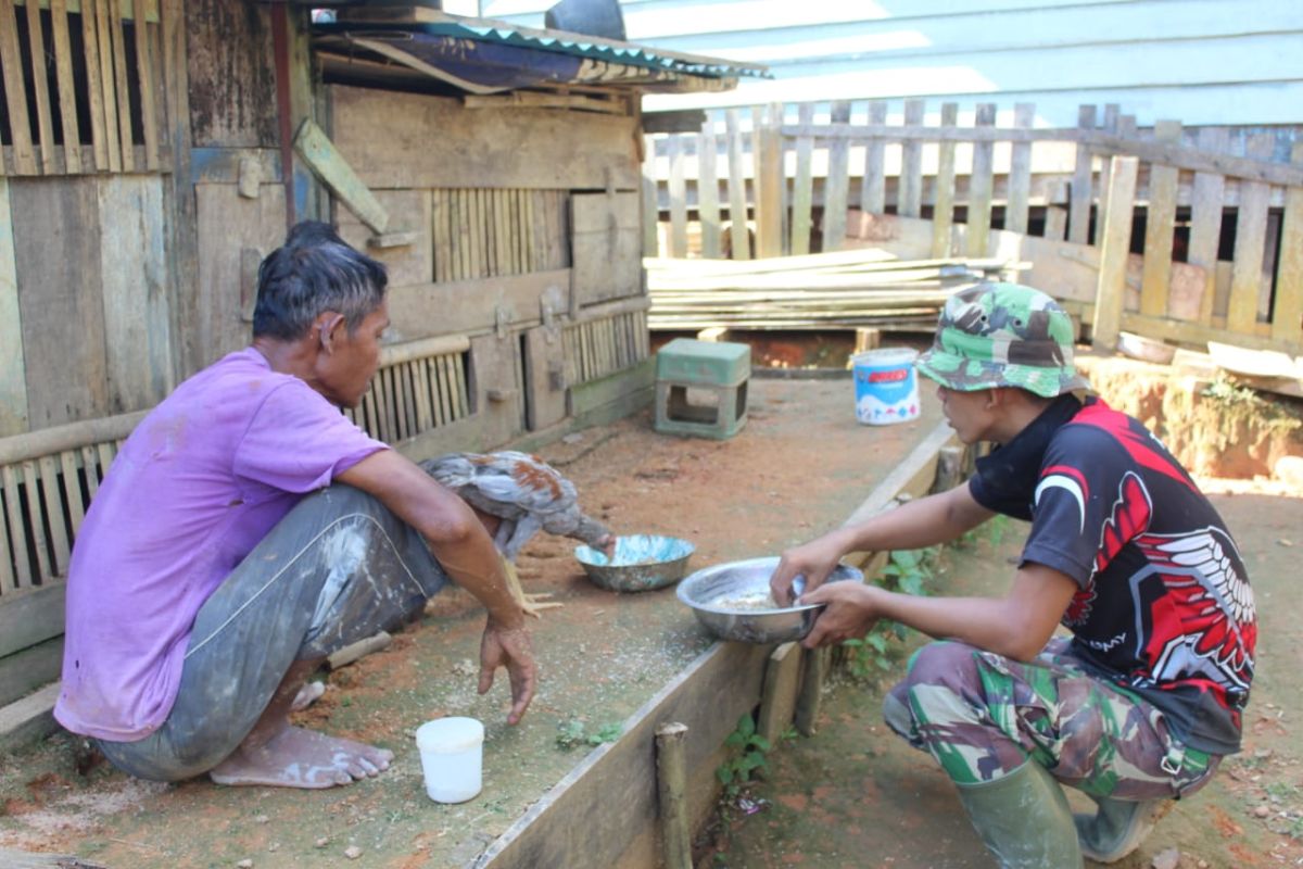 Anggota TMMD bantu warga memberi makan ternak