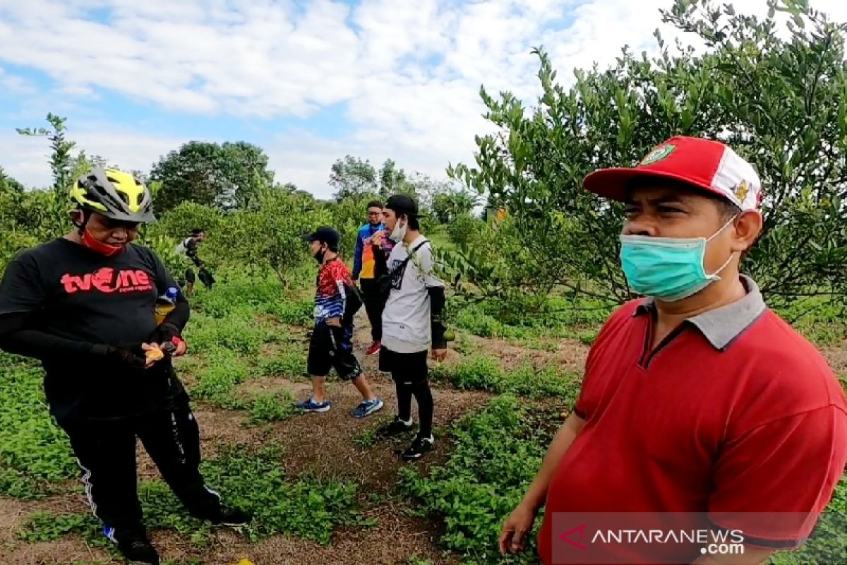 Peluang usaha tanaman buah di Kotim sangat menjanjikan