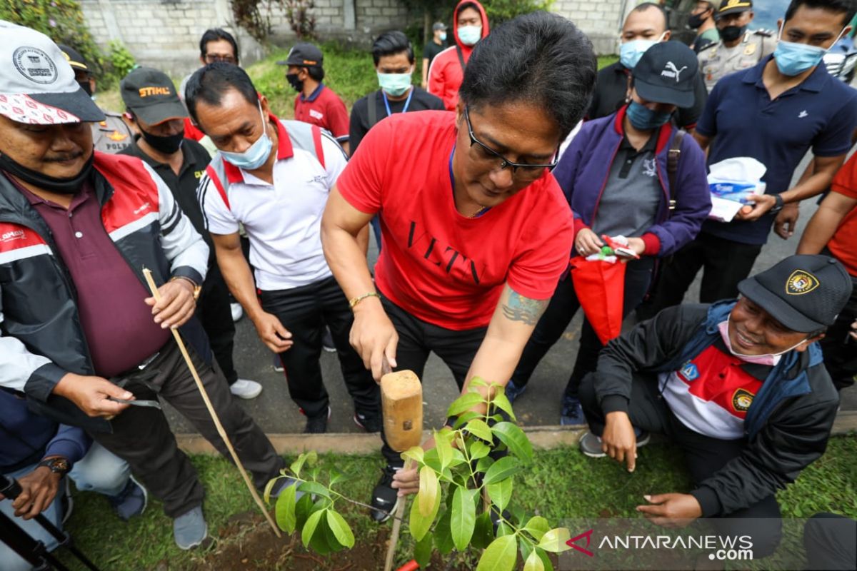 Pemkab Badung  tanam pohon badung untuk lestarikan lingkungan