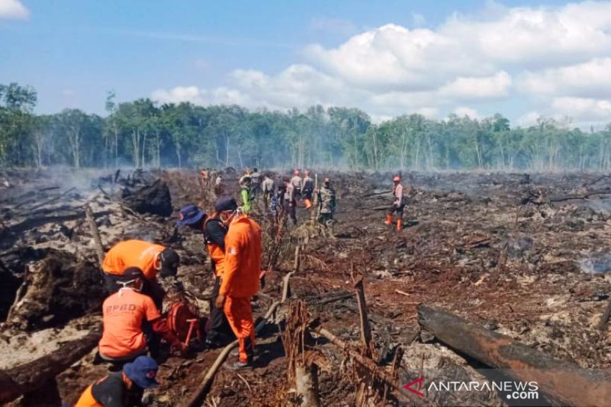 Hujan padamkan kebakaran 22,5 Ha lahan di Aceh Barat dan Nagan Raya