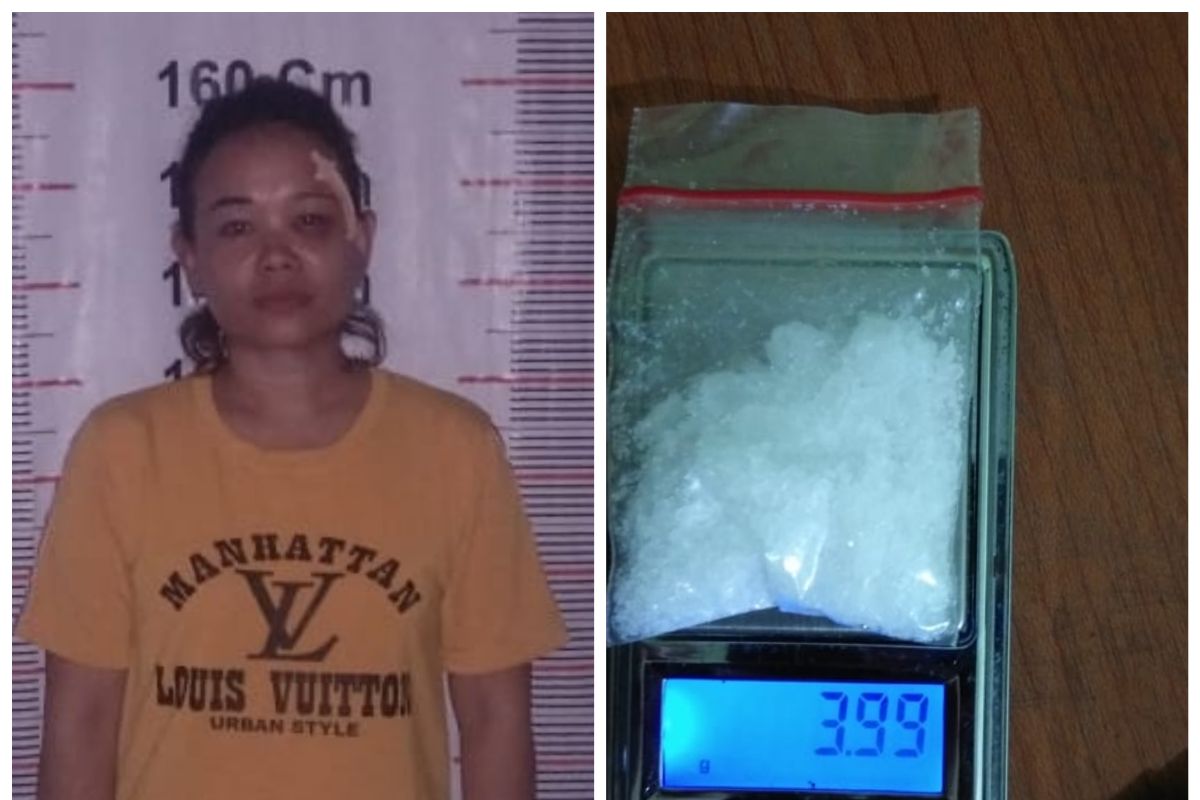 Polisi Pangkalan Brandan Langkat tangkap ibu rumah tangga pemilik 3,99 gram sabu-sabu