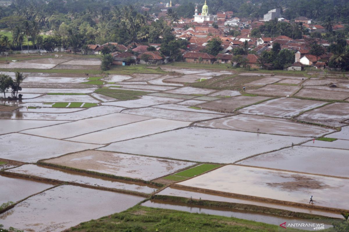 NSLIC/NSELRED facilitates consultations on land conversion, beef stock