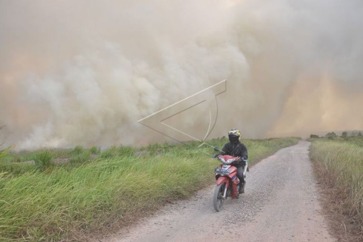 Perusahaan sawit DSI jadi tersangka Karhutla di Riau