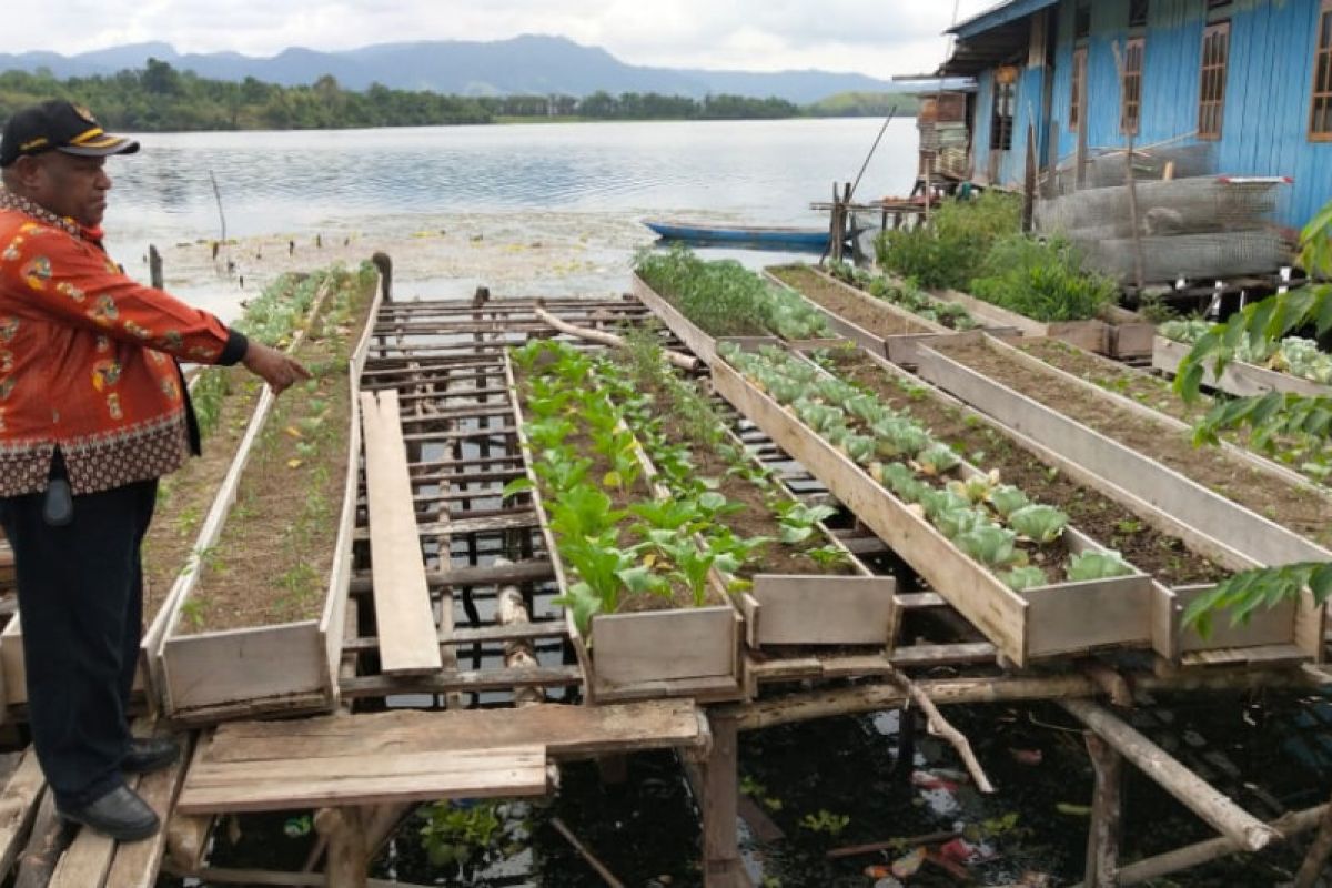 Kampung Dondai tanam sayuran metode Vertikultur