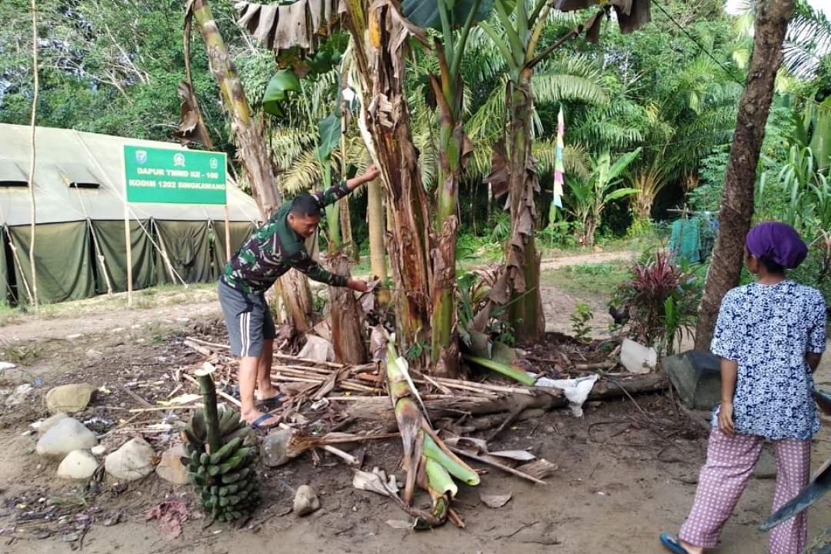 Sertu Teguh bantu warga tebang pohon pisang