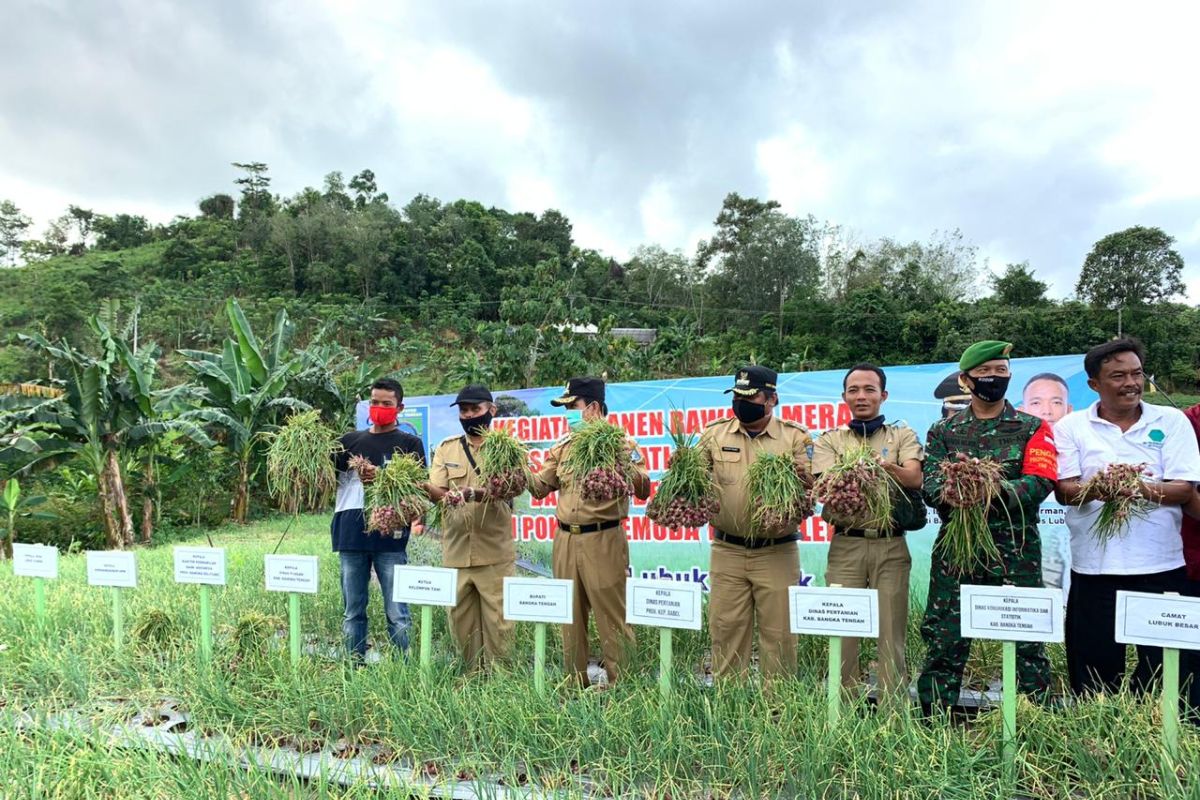 Pemkab Bangka Tengah dorong petani tekan penggunaan pupuk kimia