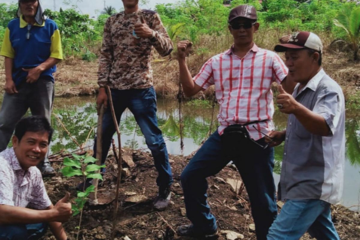 Komunitas Pohon Indonesia OKU tanam 16 ribu bibit pohon buah-buahan
