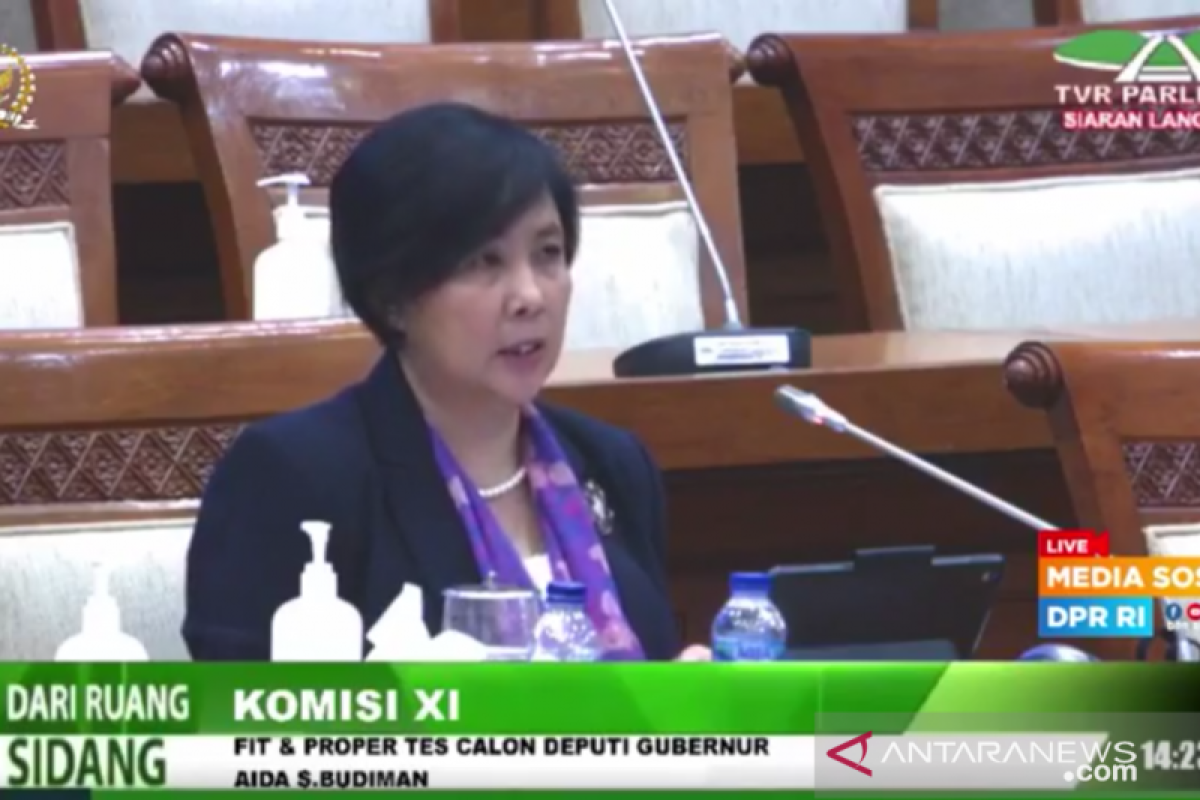 Aida S Budiman, calon Deputi Gubernur BI ingin genjot UMKM digital