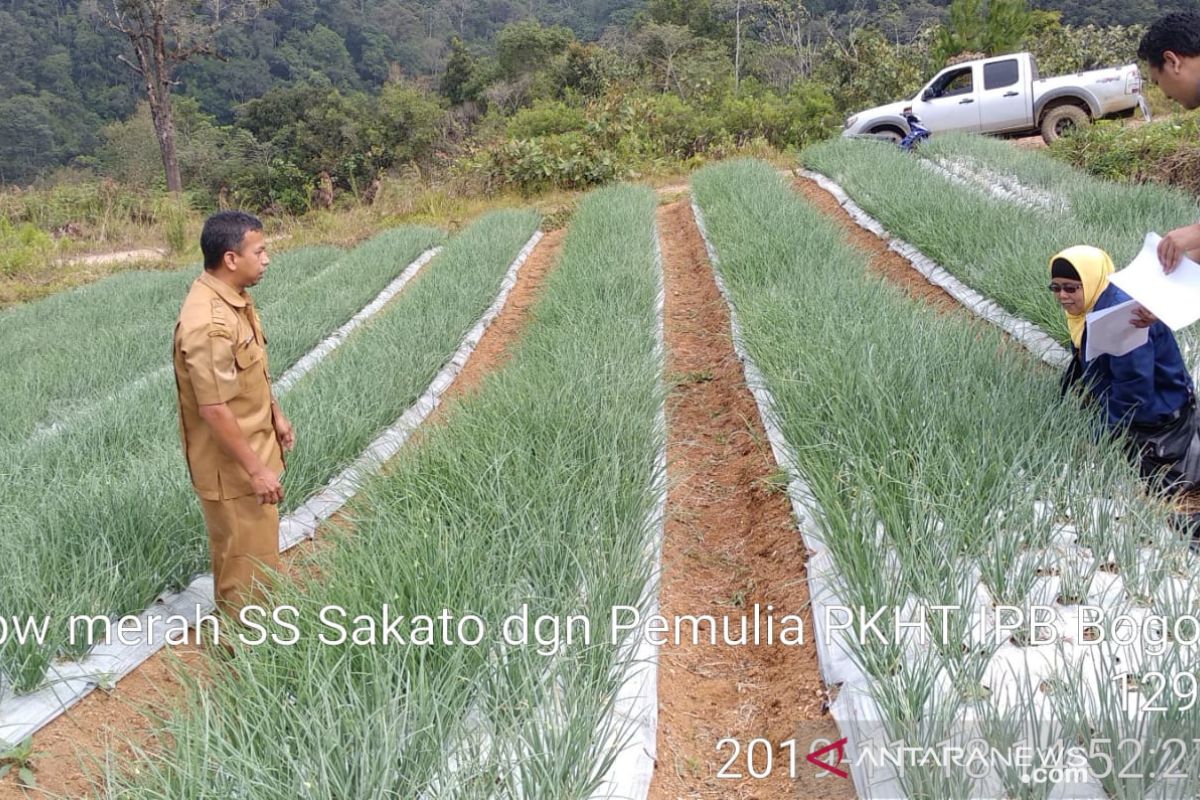 Jadi prioritas nasional komersialisasi bawang merah varietas baru IPB