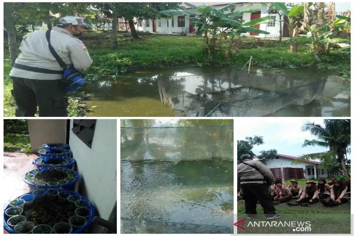 Jaga ketahanan pangan, lahan sekitar sanggar Pramuka Polbangtan Medan pun dimanfaatkan