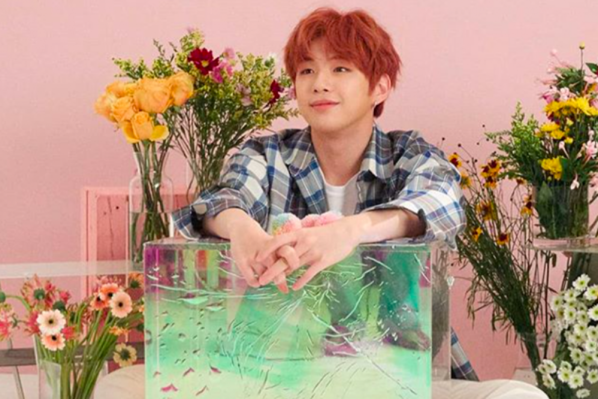 Jadwal peluncuran album baru Bintang K-pop Kang Daniel