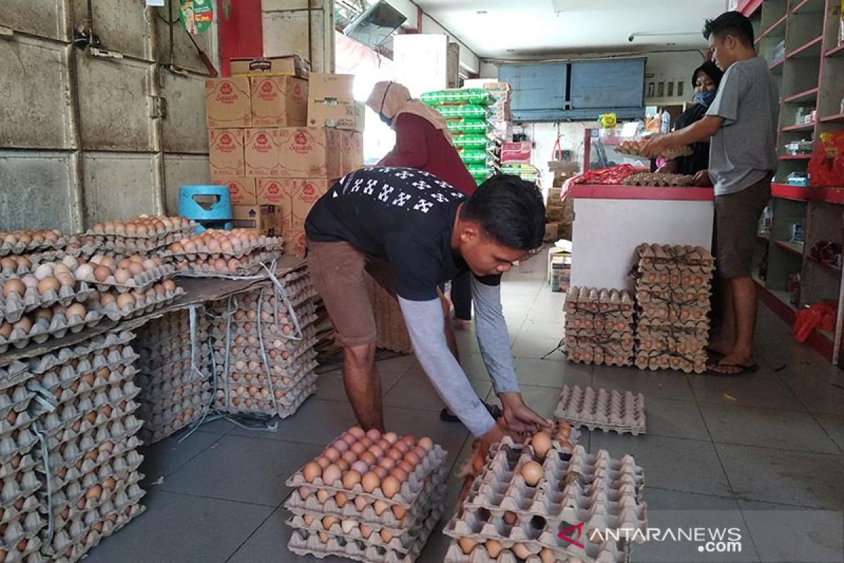 Kebutuhan telur ayam masyarakat Simeulue capai tiga ton per pekan