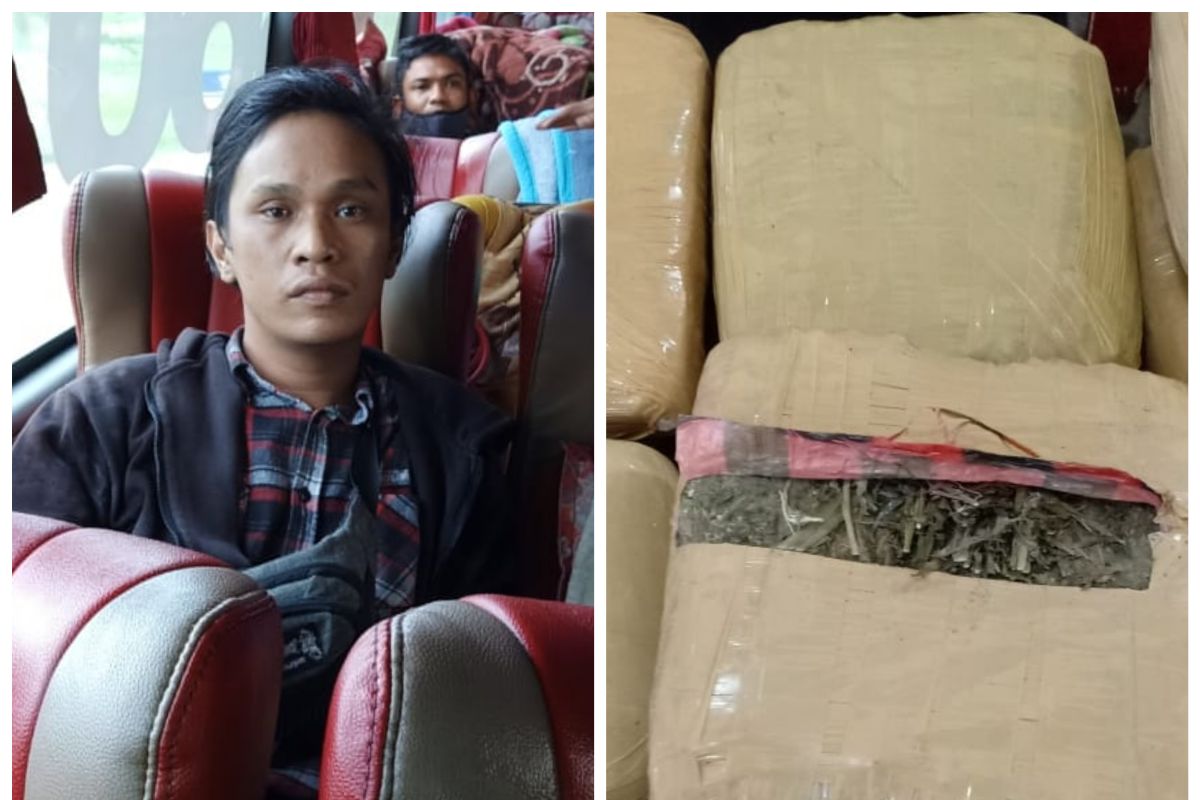 Di tengah pandemi COVID-19, pemilik 30 kg ganja warga Bandung ditangkap Satresnarkoba Polres Langkat