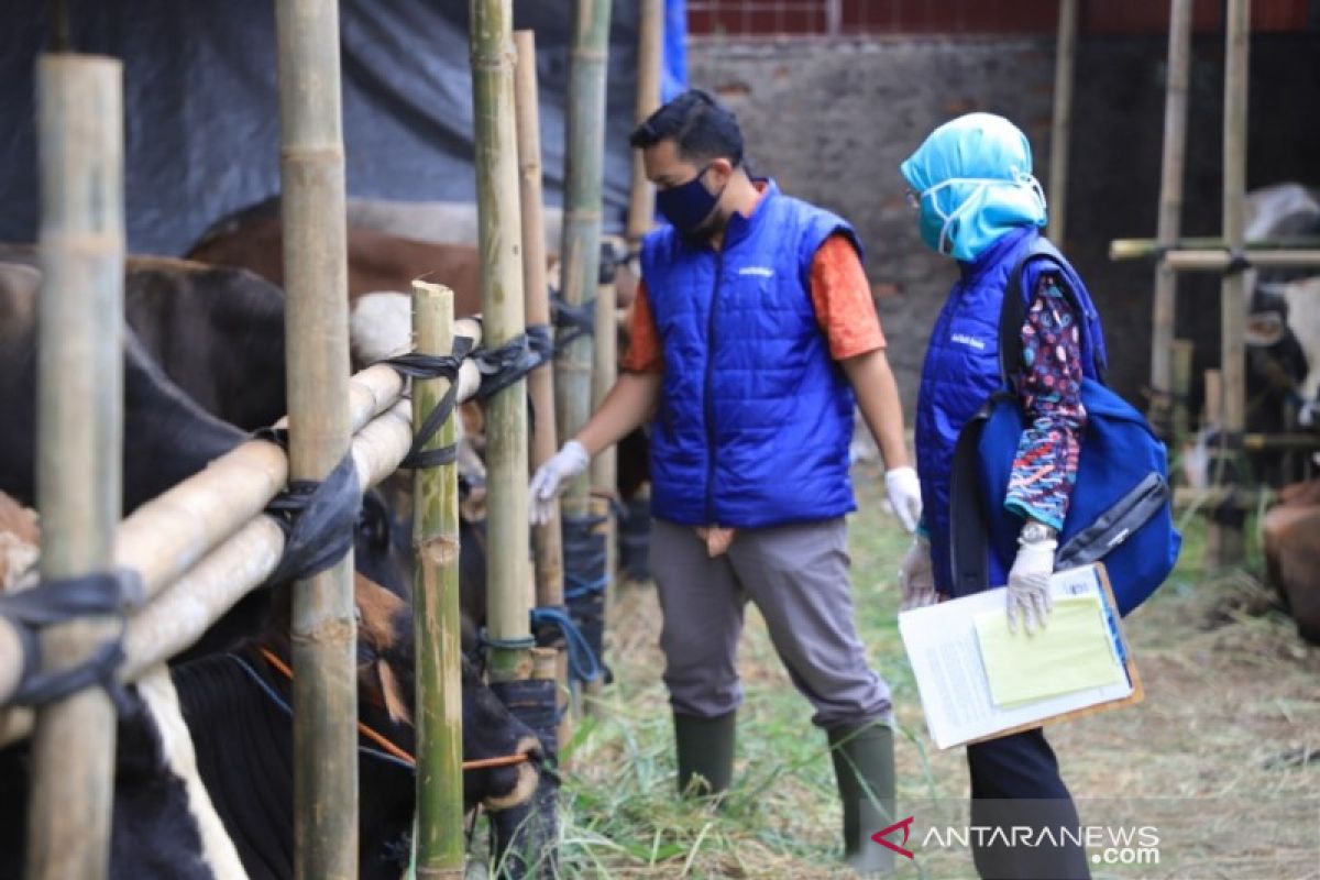 Cegah COVID-19, Kota Tangerang: Penjual hewan kurban wajib terapkan protokol kesehatan